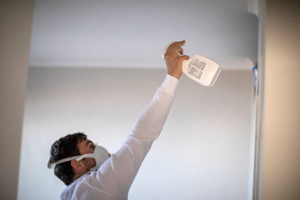 Best Mold Damage Repair  in Hartsdale, NY