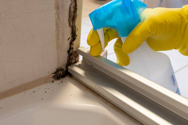 Best Mold Testing  in Hartsdale, NY